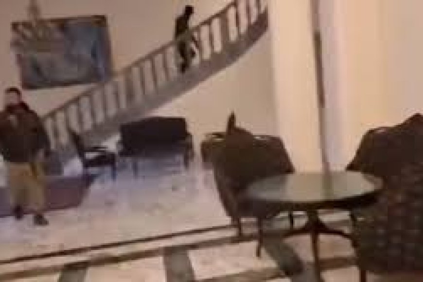 فيديو لمقاتلي فصائل المعارضة قصر الرئاسي في دمشق وفيديو في غرفة نومه