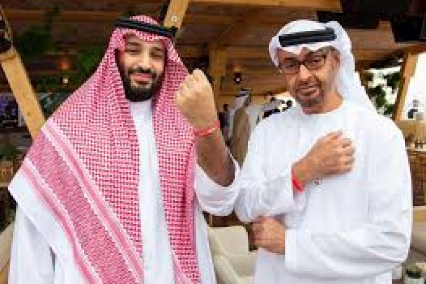 المصعبي: يحدوني أمل كبير بإصلاحات واسعة على يدي بن سلمان وبن زايد بعد قمة أبو ظبي