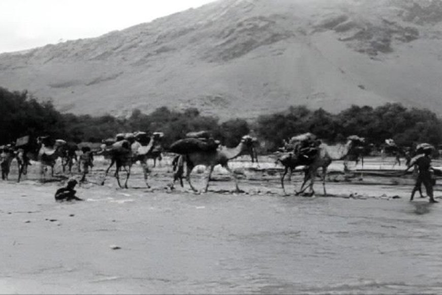 الطريق الى يافع...المحاولات البريطانية لتصوير و مسح سلطنتي يافع منذ القرن التاسع عشر(1&3)