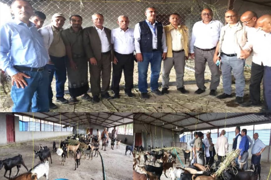 وفد من &quot;الفاو&quot; يطلع على إجراءات الحجر البيطري للماعز في المخا والمسراخ بتعز