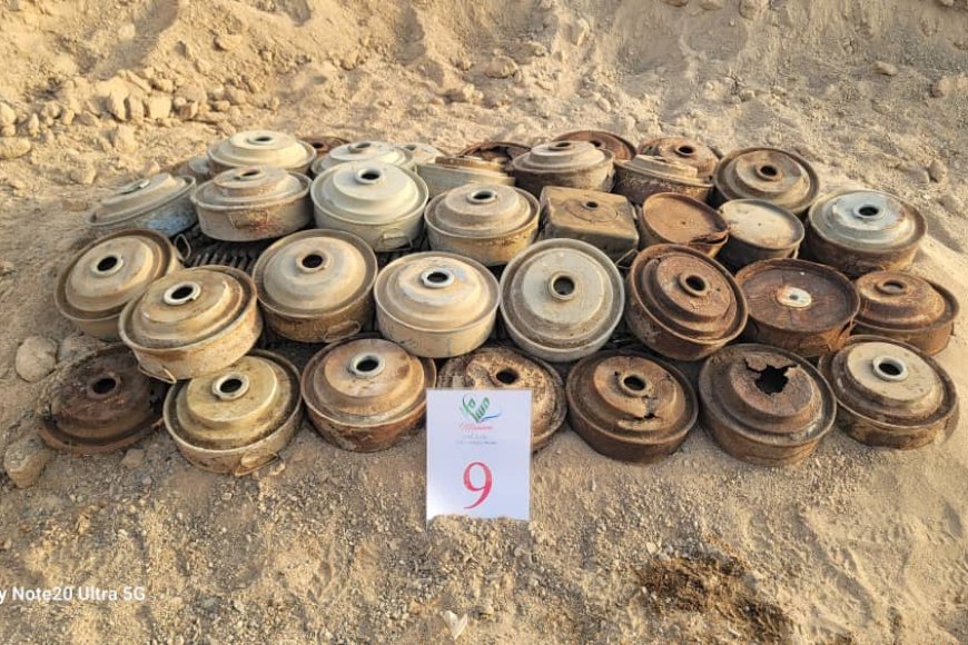 مسام&quot; يُتلف 3,036 لغم وذخيرة غير منفجرة و6 صواريخ كاتيوشا في باب المندب