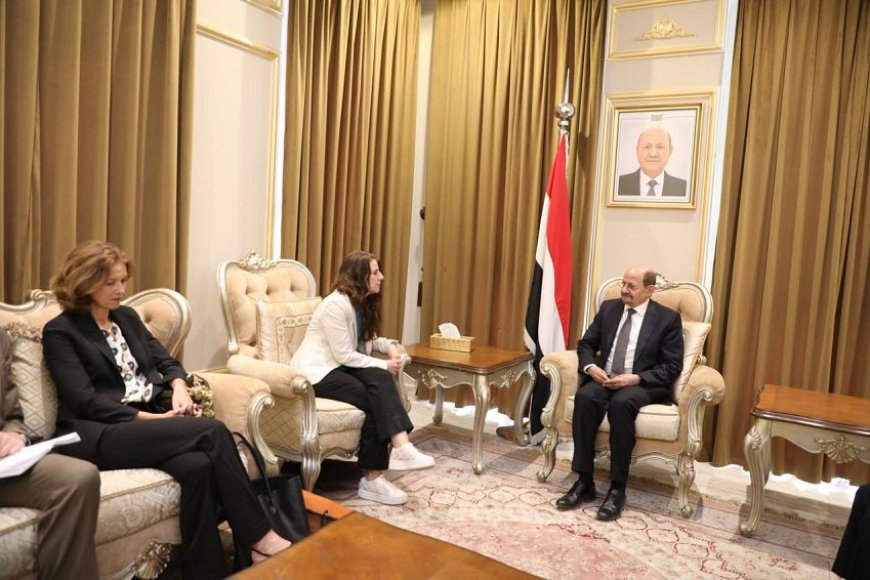 وزير الخارجية يلتقي المبعوثة النرويجية إلى اليمن