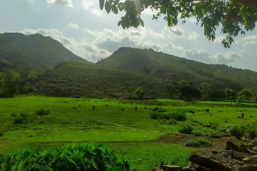 تعز..وباء الكوليرء يهدد حياة سكان عدينة