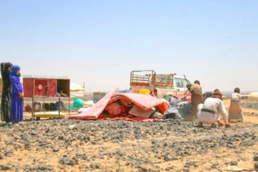 الهجرة الدولية تكشف موجة نزوح جديدة من مناطق سيطرة مليشيا الحوثي