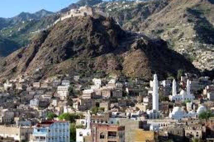 مدير المسالخ بتعز يكشف مفاجأة: &quot;بسكويت بالكريمة منتهي الصلاحية يسمح له بالمرور إلى المدينة 