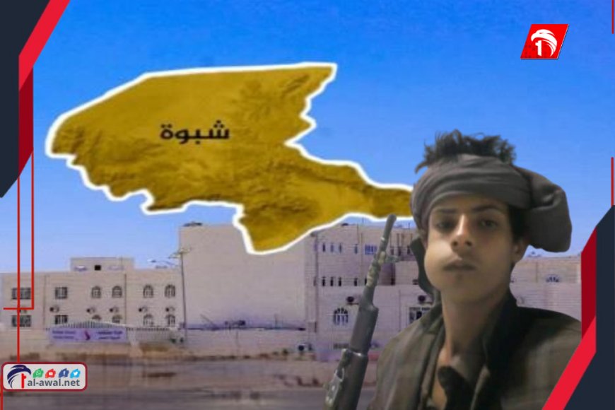 الكشف عن هوية الشاب الذي قتل بشبوة وتفاصيل للحظات المروعة !