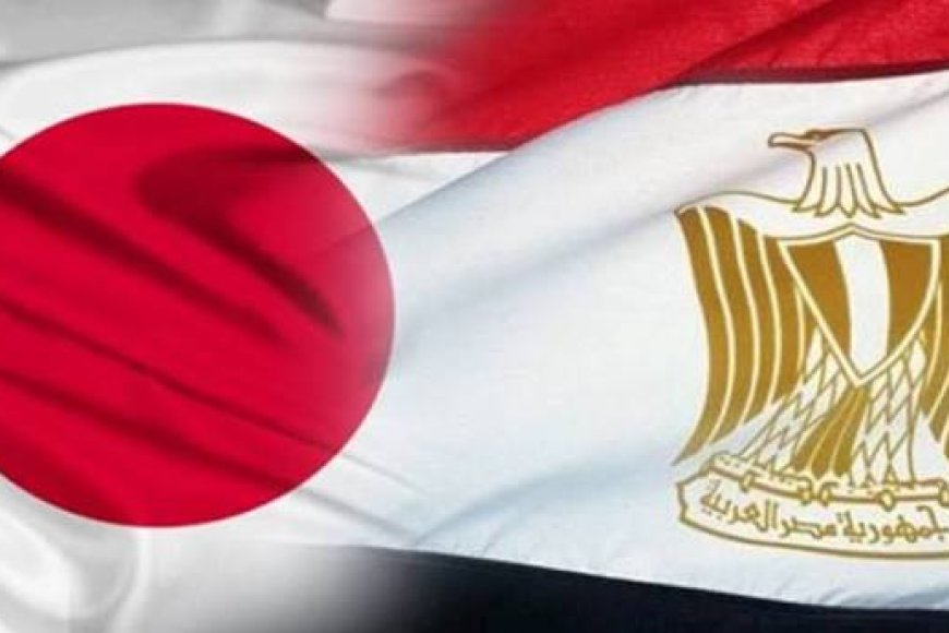 مظاهرات احتجاجية في اليابان بسبب مصر .. ماذا يجري ؟