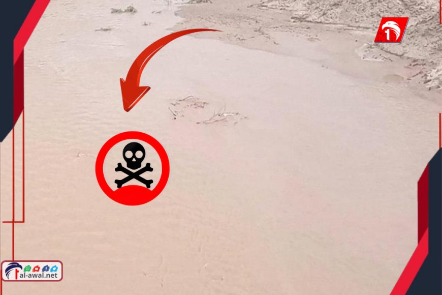 مصيبة أحور الكبرى.. غرق 5 نساء من أسرة واحدة في حفرة مائية