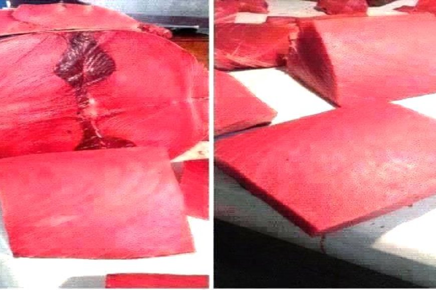 أسعار الأسماك اليوم الاثنين فى عدن