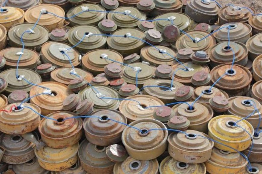 &quot;مسام&quot; ينزع أكثر من 1300 لغماً خلال أسبوع زرعتها المليشيات الحوثية