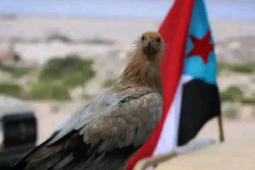أسعد أبو الخطاب: تغيير الممثلين والخونة ضرورة لتفادي تكرار المسرحية