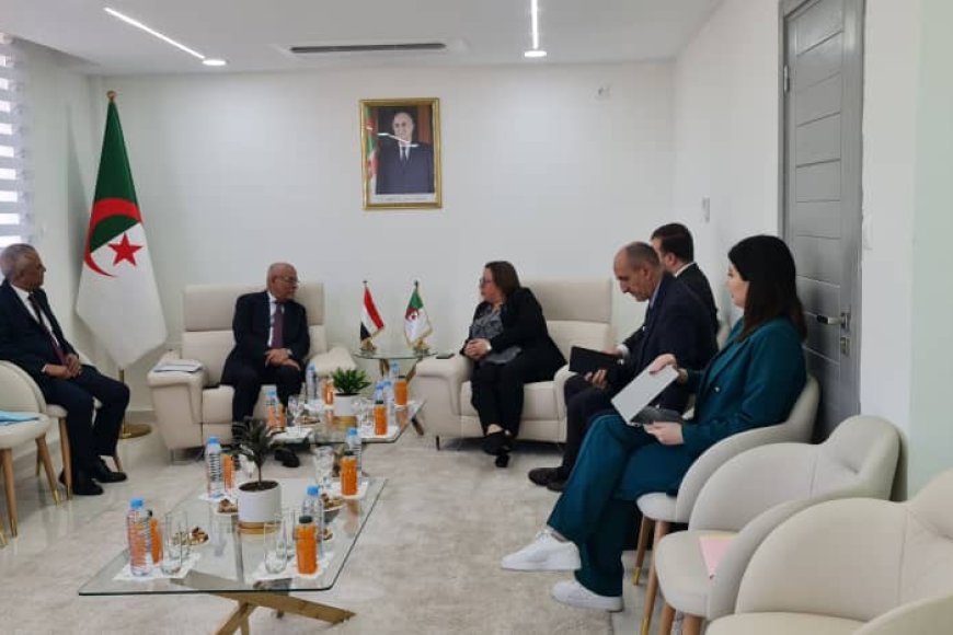 السفير اليزيدي يبحث تعزيز التعاون الثنائي في التعليم الفني بين بلادنا والجزائر