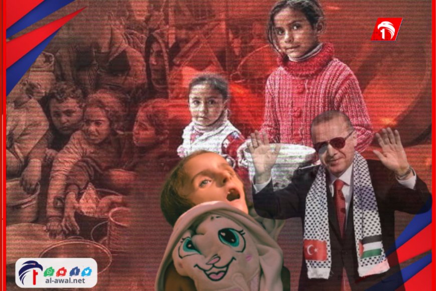 بعد تصريح ناري من أردوغان.. تركيا تدعو إلى نشر قوة أممية في غزة.
