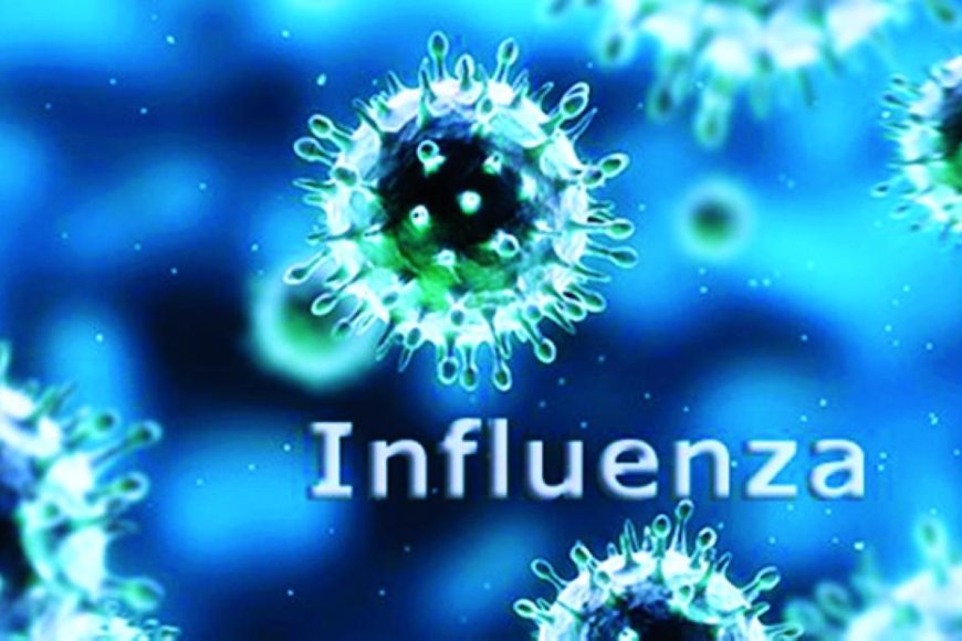 فيروس إنفلونزا A Influenza A virus المنتشر عالمياً.. ماهي أسبابه و مضاعفاته و كيفية الوقاية منه و طرق علاجه