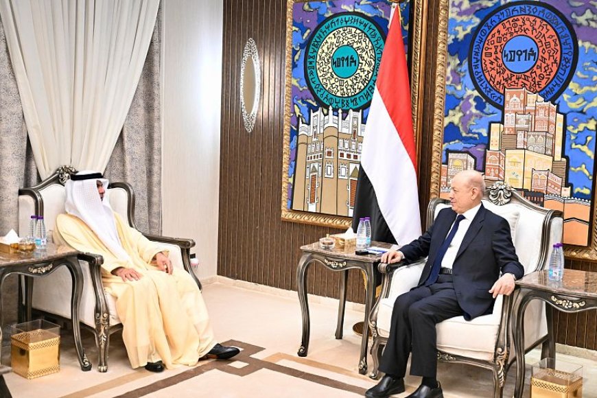 رئيس مجلس القيادة يستقبل سفير دولة الإمارات العربية المتحدة