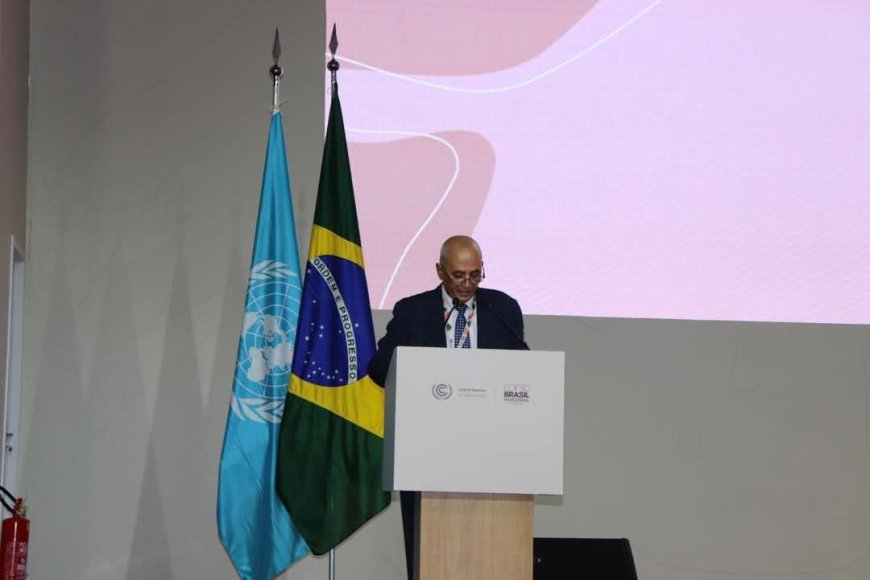 الشرجبي: اليمن يواجه اشكاليات بيئية كبيرة وحان وقت العدالة للدول المتأثرة بالنزاعات 