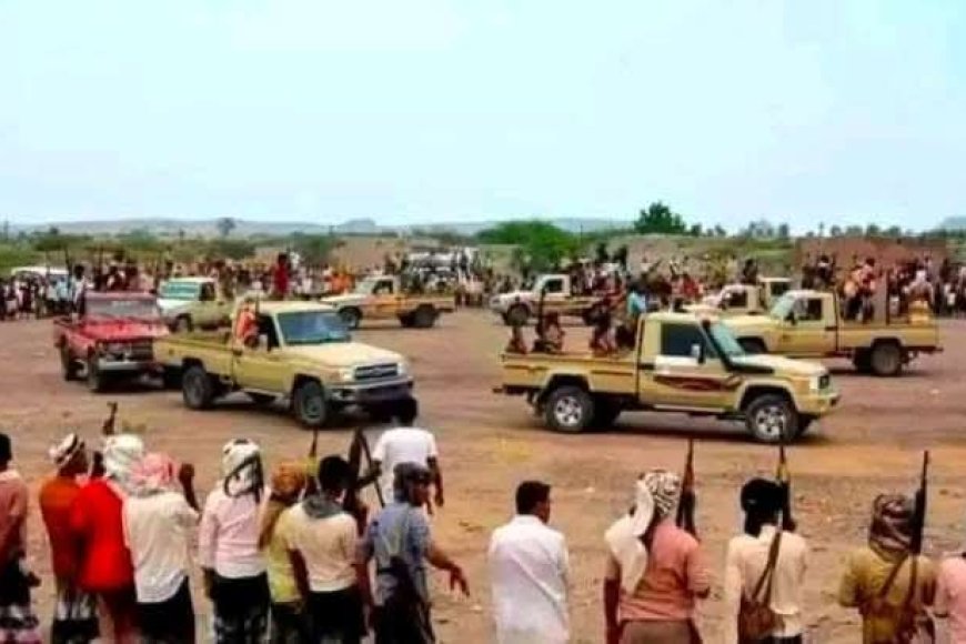 شيخ مشائخ الوازعية يوجه نداء حازماً بالانسحاب الفوري