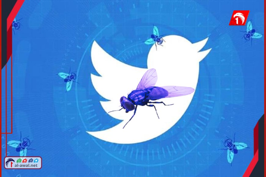 معركة ضد الذباب الإلكتروني!!..  تحديث منصة (X) الجديد يقلب الطاولة على الحسابات الوهمية!