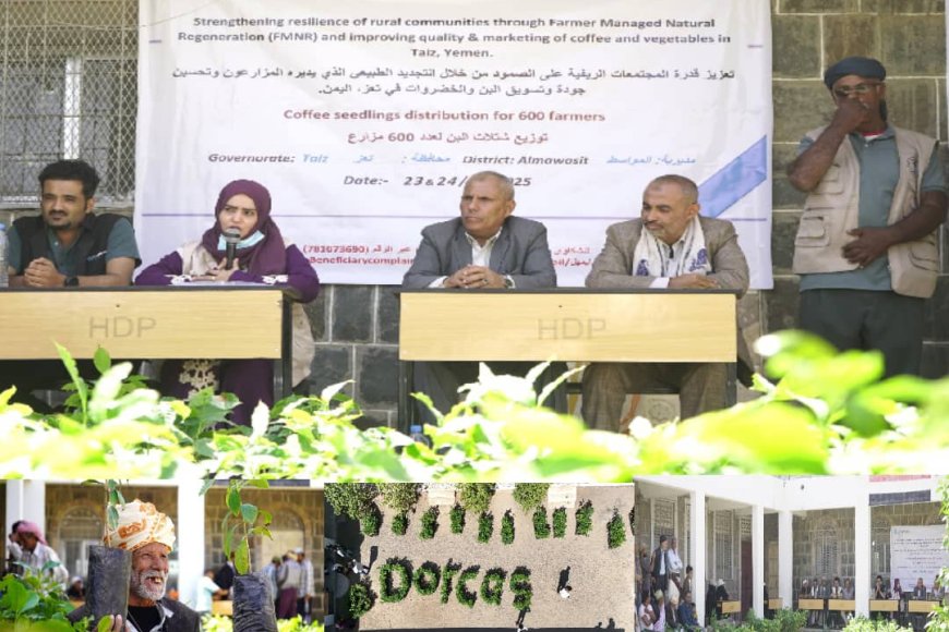 الدعيس يدشّن توزيع شتلات البن لـ600 مستفيد في عزلة بني حماد بمديرية المواسط