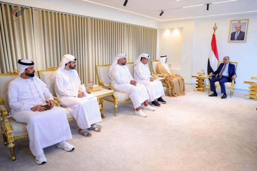 رئيس الوزراء يستقبل السفير الإماراتي ويجدد الشكر لدولة الإمارات على دعمها قطاع الكهرباء في اليمن بمليار دولار
