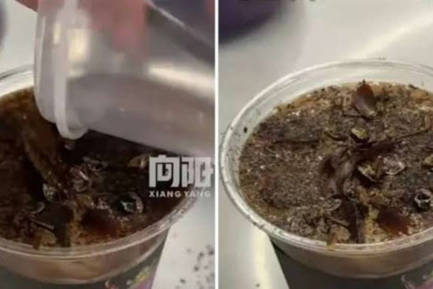 جديد الصين .. مشروب قهوة بنكهة الصراصير !