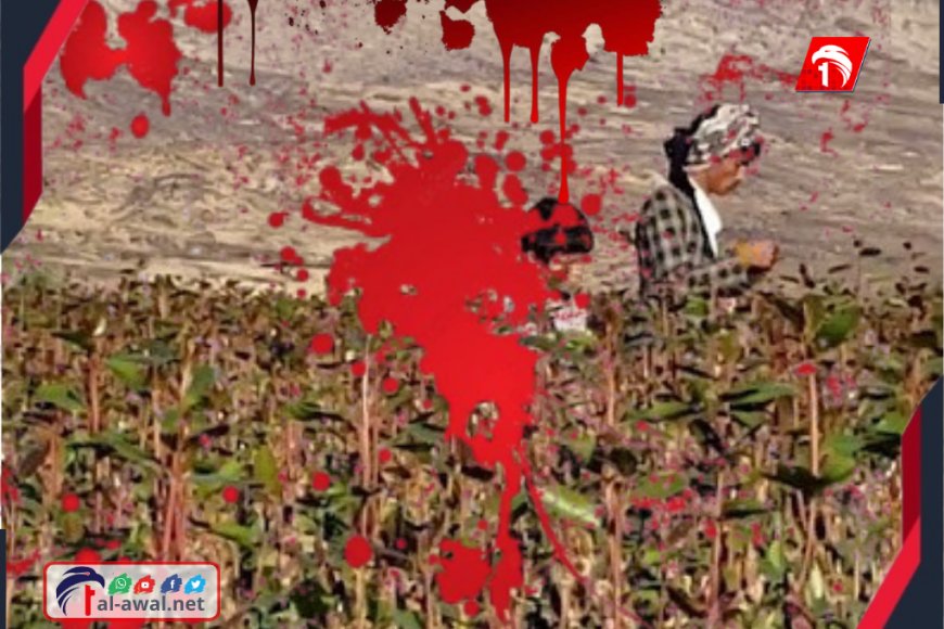 جريمة مروعة والسبب صادم!!.. قتيل و(3) جرحى في اشتباك مسلح في رداع بالبيضاء