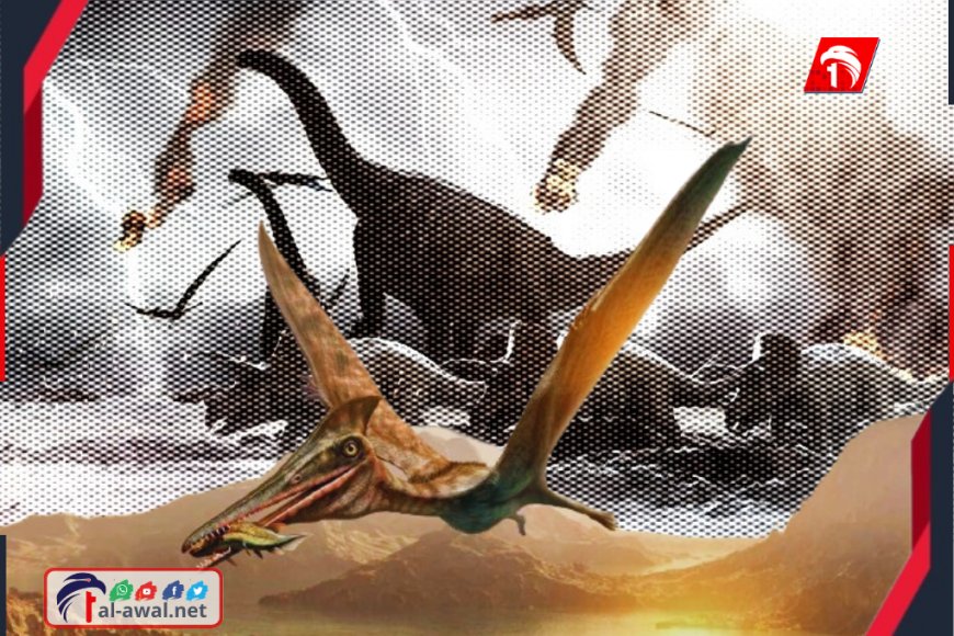 كنز في (قيء) الديناصورات!!.. اكتشاف سر طائر الفلامينغو القديم