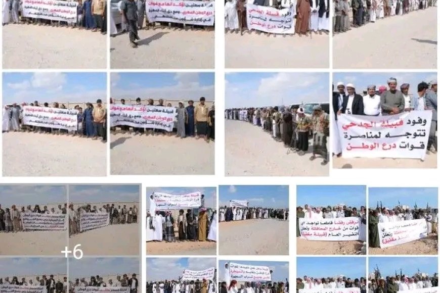 قبائل المهرة تجدد تمسكها بتمكين أبنائها وتعزيز الأمن والاستقرار