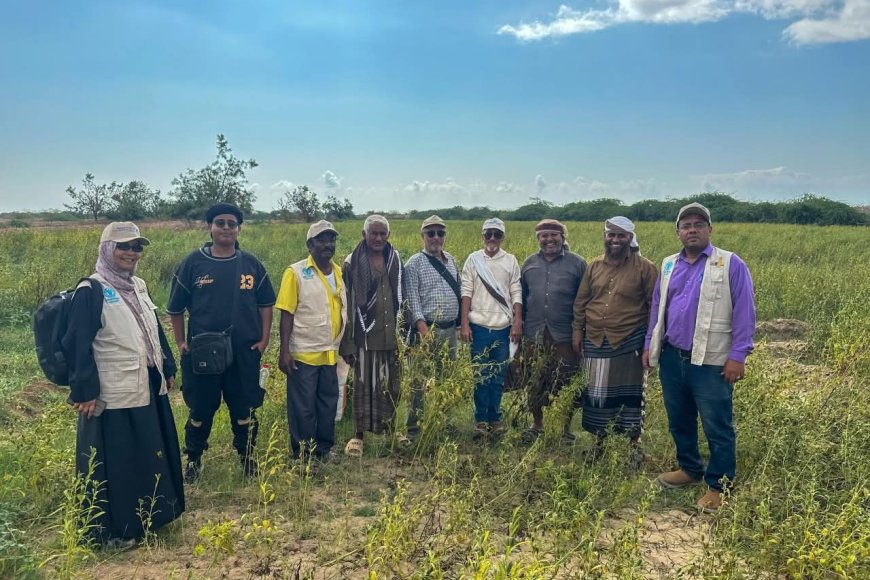 محطة أبحاث الكود الزراعية تدشن اليوم الحقل لمنتجي محاصيل الحبوب بأبين    