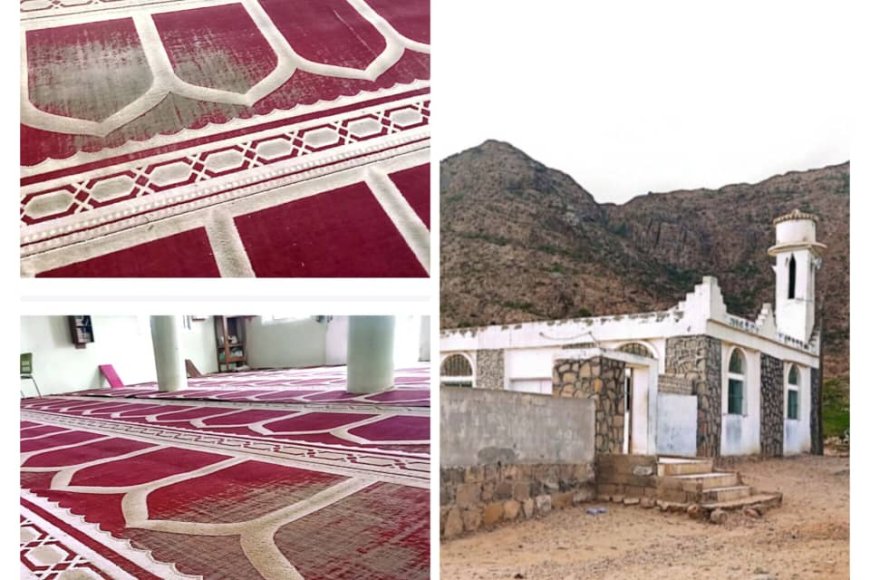 أهالي قرية الطرية يناشدون أهل الخير لتوفير سجاد مسجد القرية أهالي قرية الطرية يناشدون أهل الخير لتوفير سجاد مسجد القرية