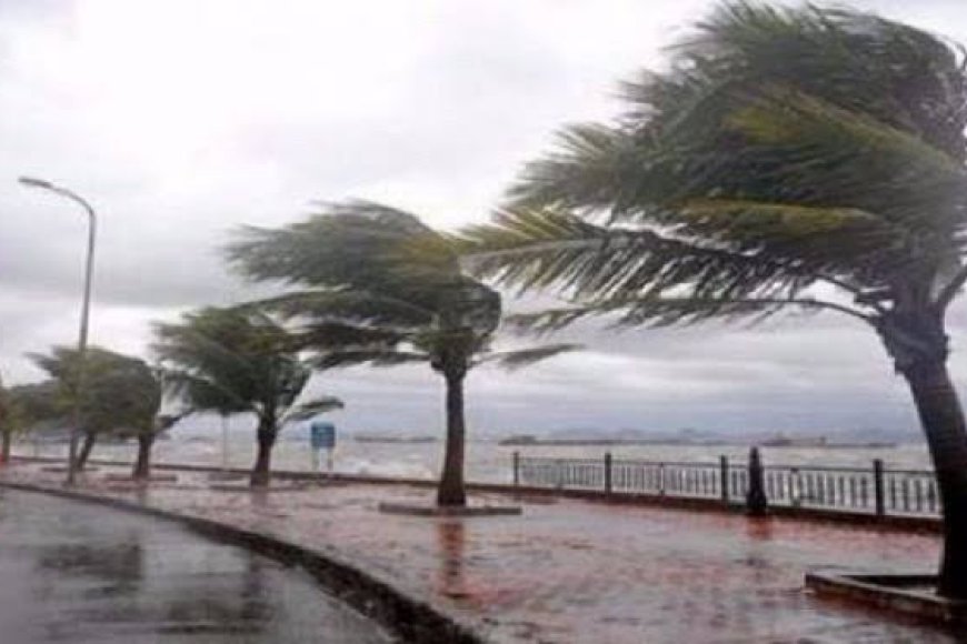 الاعصار في تونس يحصد الأرواح والممتلكات .. تفاصيل