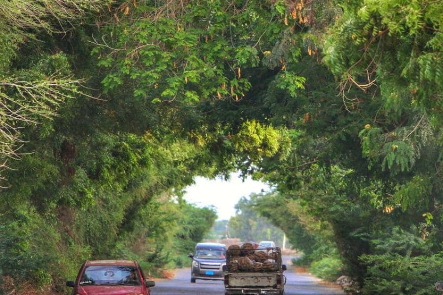 بين نزيف الخنادق وجفاء الفنادق.. أبين والبحث عن الإنصاف