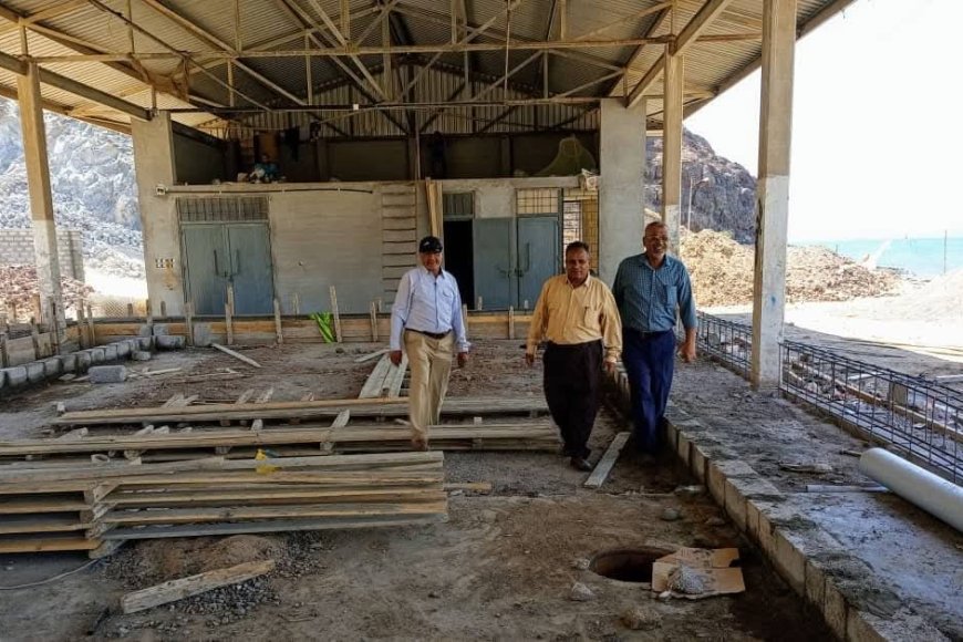 بتوجيهات الوزير السقطري: رئيس هيئة مصائد خليج عدن يتفقد سير العمل في مركز إنزال فقم السمكي