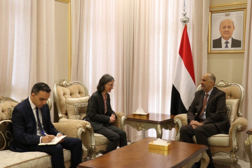 وزير المالية يبحث مع السفيرة الفرنسية تعزيز التعاون الاقتصادي والتنموي