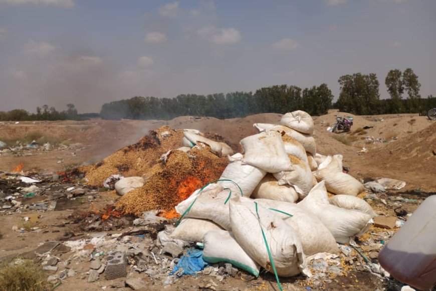 إتلاف ( 6 ) أطنان من الفول السوداني غير صالحة للإستهلاك الآدمي في مديرية المنصورة بعدن