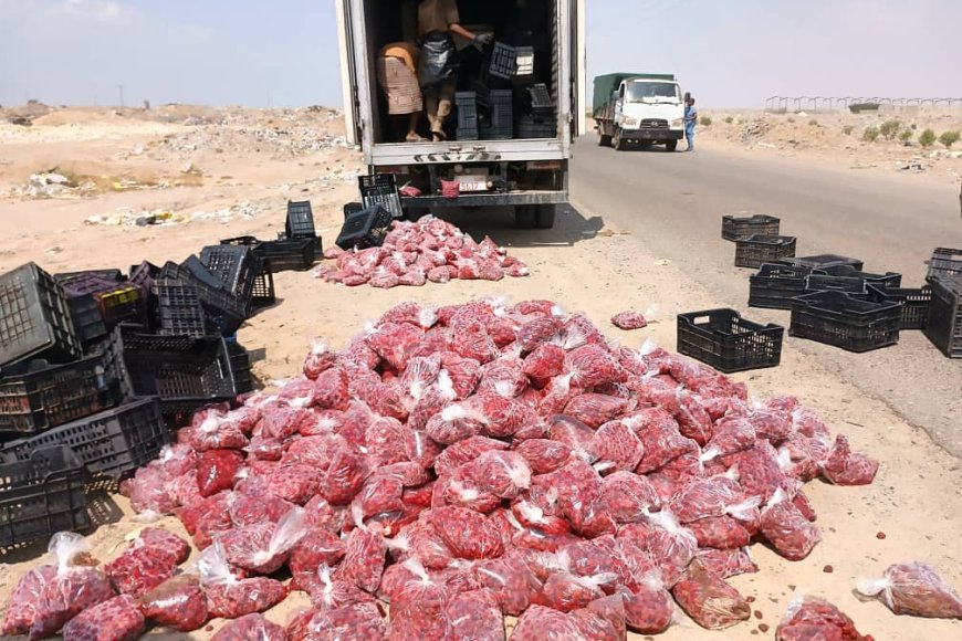 إتلاف كمية كبيرة من الفراولة غير صالحة للإستهلاك الآدمي في مديرية المنصورة بعدن