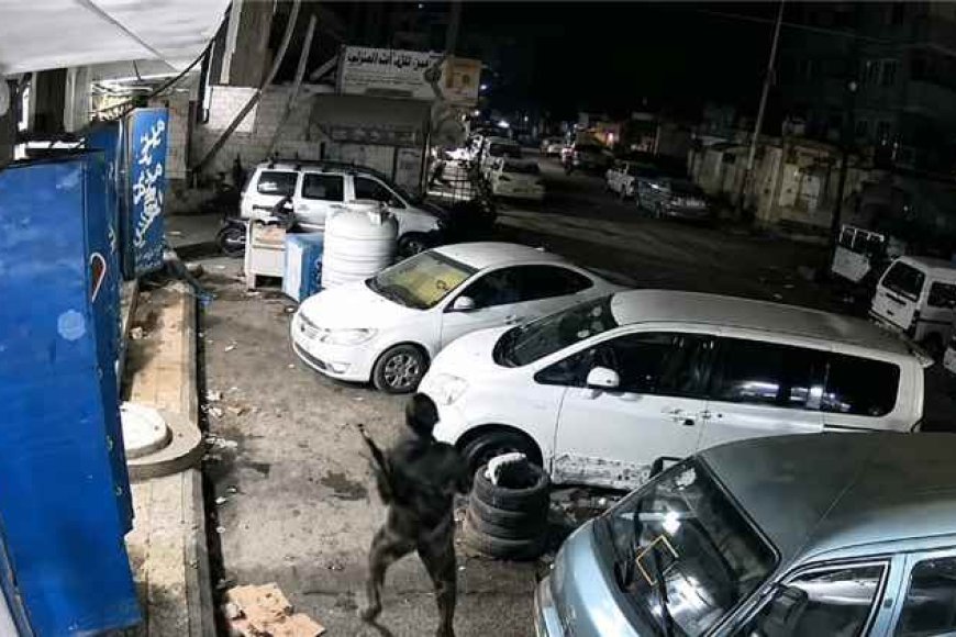 بالفيديو.. توثيق لحظة إطلاق النار على دورية أمنية في عدن