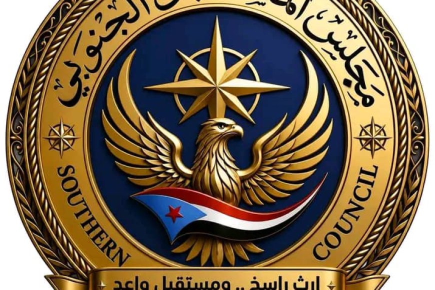 "إرث راسخ.. ومستقبل واعد وهُوية".. مجلس المستقبل الجنوبي يطلق فيلمه التأسيسي برؤية توثق المسيرة وترسم ملامح الغد