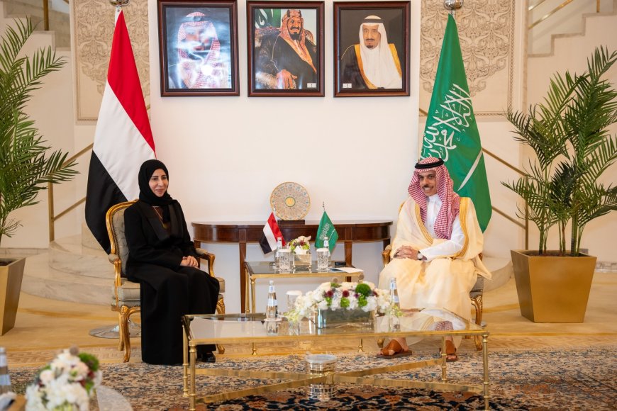 وزيرة الخارجية ونظيرها السعودي يبحثان تعزيز الشراكة ومواجهة التهديدات المشتركة