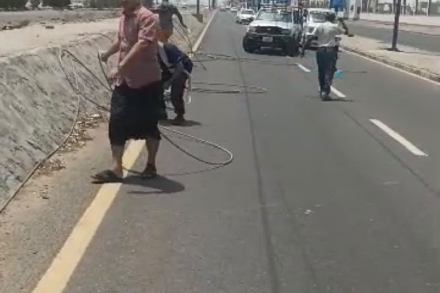 مدير كهرباء عدن يقود حملة فتح الخط البحري وإعادة التيار بعد سقوط خطوط الضغط العالي