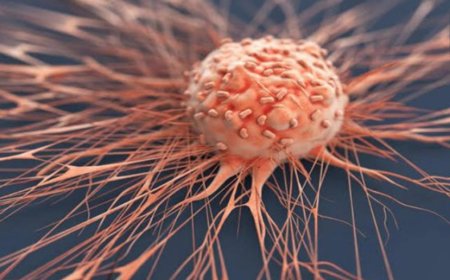 مادة غذائية تمنع تطور الورم السرطاني.. ما هي؟