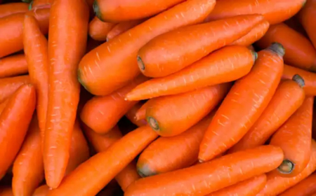 ماذا لو تناولتم الجزر يومياً على الريق!