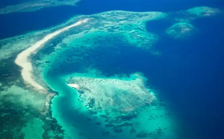 العلماء يعثرون على قارة مفقودة منذ 155 مليون سنة