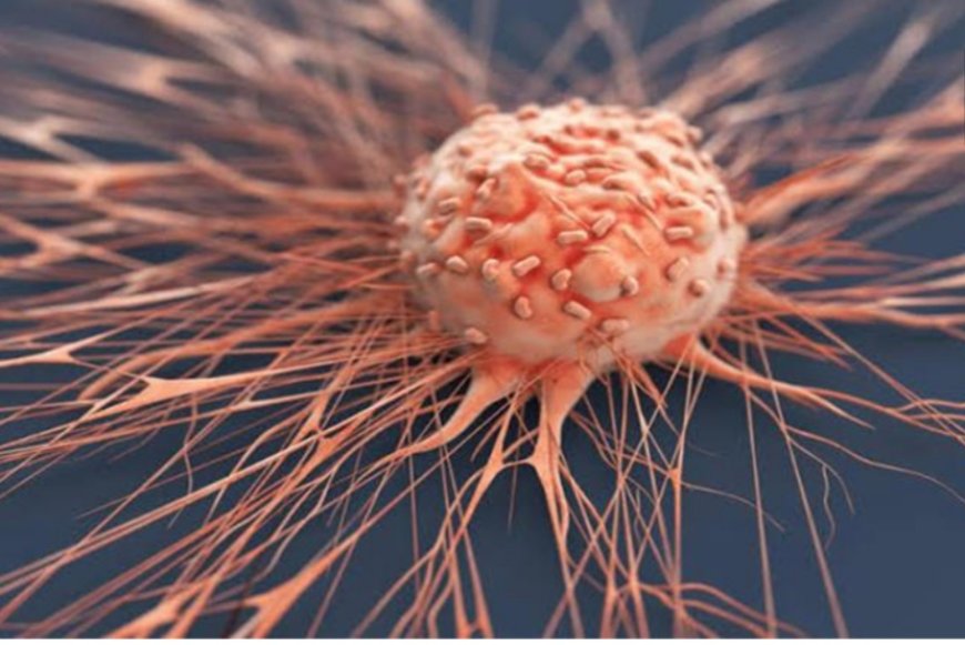 مادة غذائية تمنع تطور الورم السرطاني.. ما هي؟