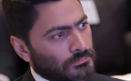 كاظم الساهر وتامر حسني في مقدمة الفنانين الذين علقوا أنشطتهم تضامنًا مع فلسطين.