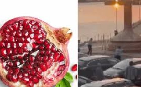 أراد أن يطلب عصير الرمان فألقي القبض عليه... خطأ لغوي حوله إلى "إرهابيّ"!