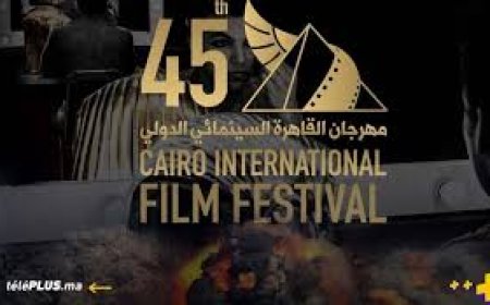 تأجيل مهرجان القاهرة السينمائي بسبب الحرب على غزة.. ومديره يستقيل