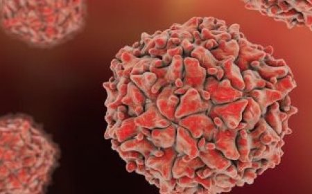 تغير المناخ.. 4 أمراض تنتقل من الحيوانات للبشر ستقتل أضعاف الأشخاص فى 2050