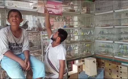 سوق الطيور بعدن.. ملاذ الفقراء