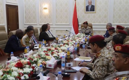 وزير الدفاع يلتقي رئيس بعثة الأمم المتحدة لدعم اتفاق الحديدة (أونمها)